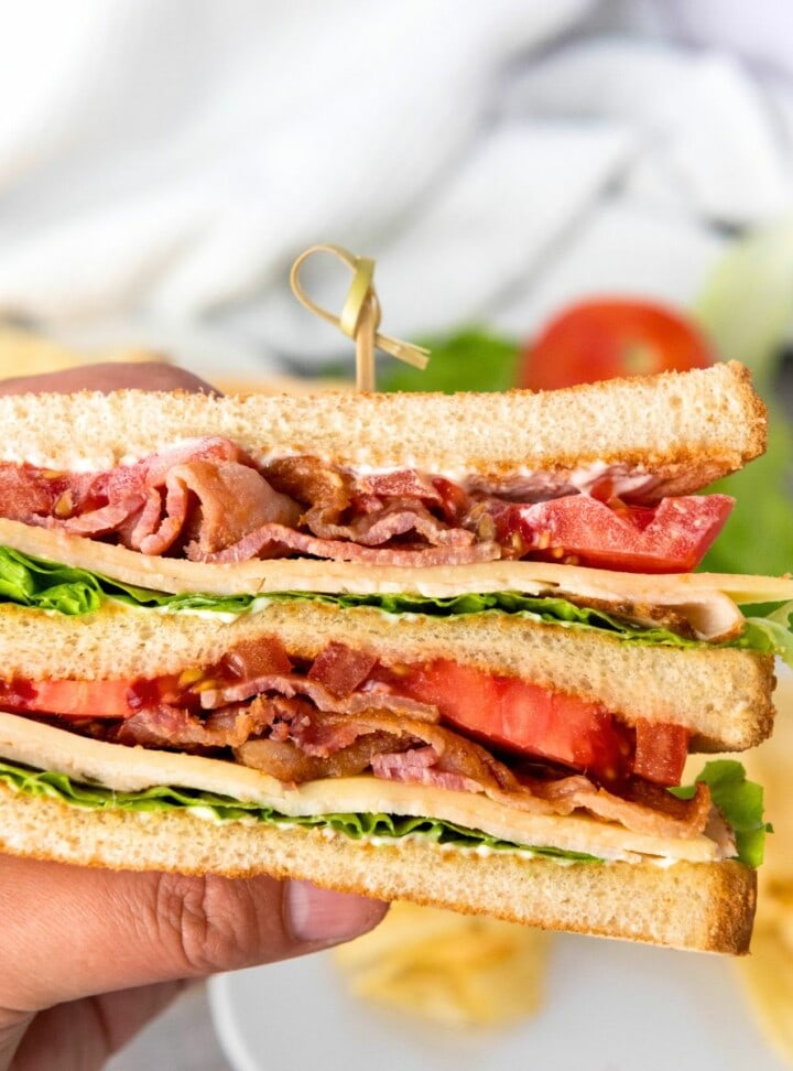 holding with my hand the delicious chicken club sandwich